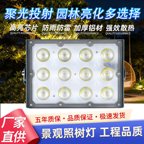 国虎LED户外彩色聚光草坪灯