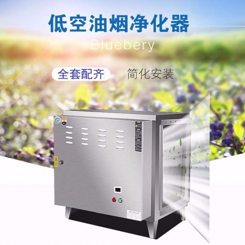 低空排放油烟净化器饭店厨房小型餐饮商用过滤器烧烤除味无烟