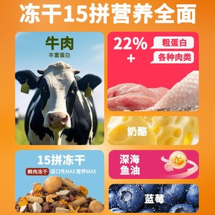 狗粮农村土狗冻干幼犬成犬中小型犬专用10斤装田园犬串串40斤犬粮