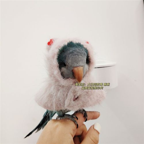 毛绒绒款鹦鹉披风斗篷鸟衣服鹦鹉披风玄凤加厚保暖外出服鹦鹉用品