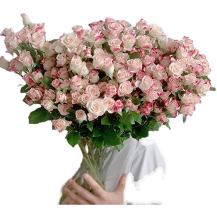 折射玫瑰花多头泡泡玫瑰鲜花云南直发鲜切花办公家用插花节日礼品