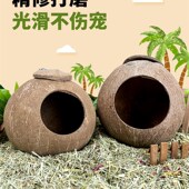 仓鼠椰壳窝躲避屋夏天降温椰子造景用品金丝熊房子别墅花枝鼠小窝