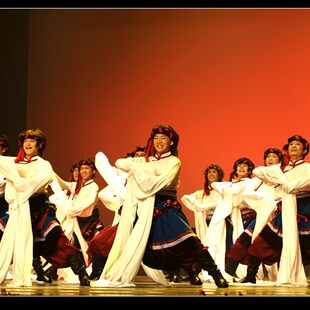 订做 民族舞蹈演出服装 翻身农奴把歌唱舞蹈服装 藏族舞蹈服装 男