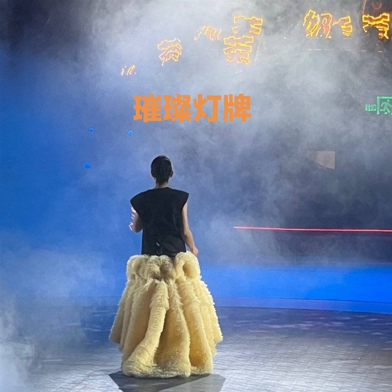 刘若英应援灯牌周边定制飞行日演唱会应援发光灯牌发箍手灯超薄