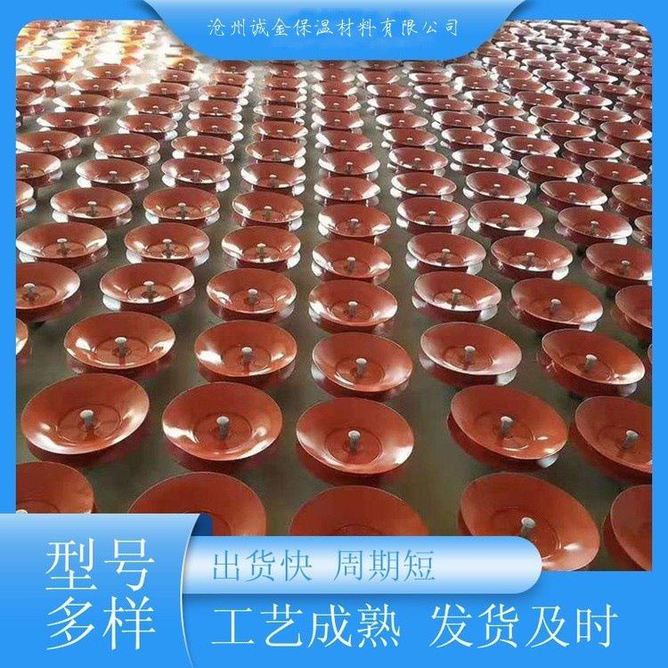 高压电力双伞耐污型盘形悬式瓷复合绝缘子红色硅橡胶FXWP-160