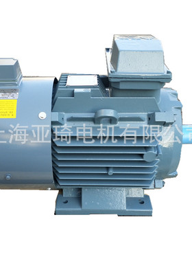 QABP200L2A-30KW 上海ABB变频电机