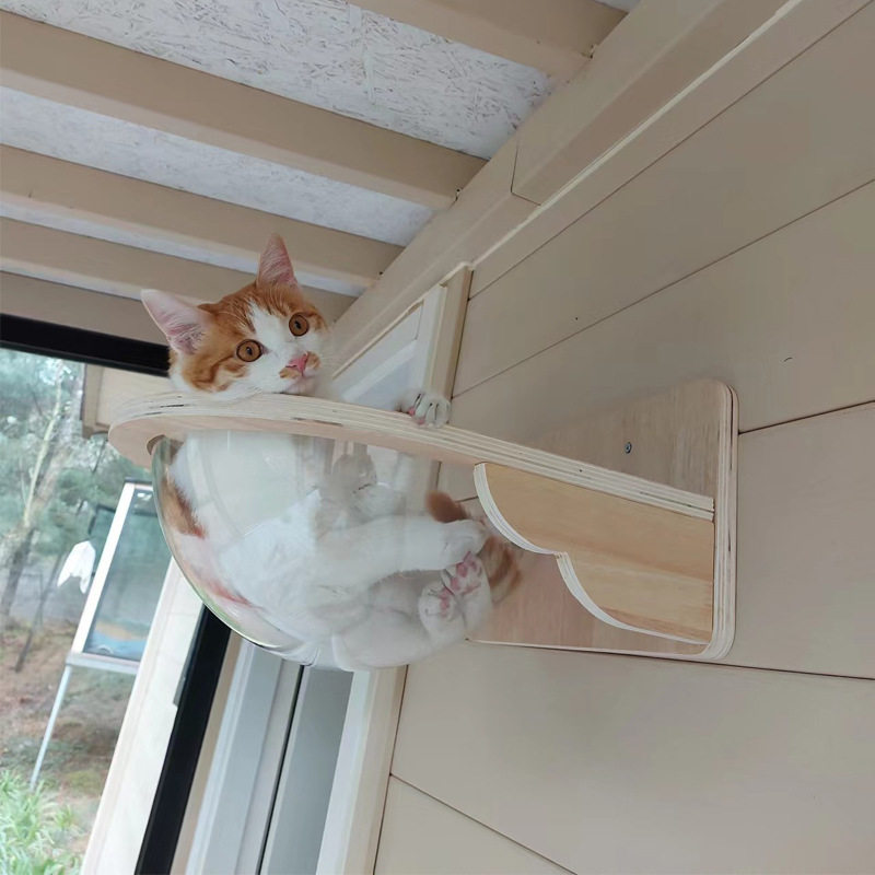 实木猫咪吊床壁挂猫窝宠物墙上悬挂吸盘免打孔透明太空舱猫窝爬架