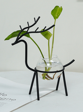 北欧桌面水培花盆摆件办公桌客厅多肉绿萝水养植物花瓶装饰摆设