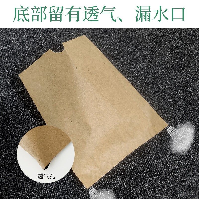 杏子套袋专用袋水果套袋黄杏白杏袋子包果袋纸袋李子猕猴桃防虫鸟,鲜花速递/花卉仿真/绿植园艺,其它园艺用品,淘宝优惠券,粉丝福利购,淘宝优惠卷