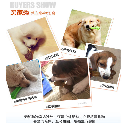 狗狗玩具耐咬磨牙棒小狗咬胶骨头幼犬泰迪金毛边牧宠物大型犬玩具