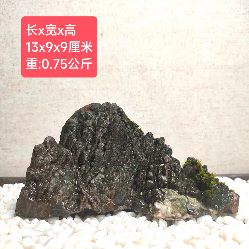 广西龟纹石造景石水旱水陆鱼缸盆景天然抱树绿植花盆庭院客厅摆件