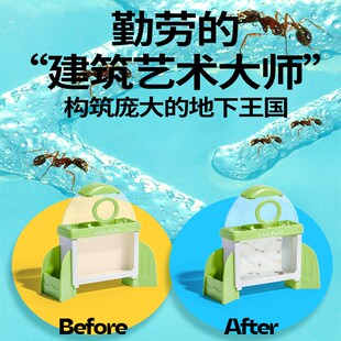 六一儿童节生日礼物六岁6男童8女童女孩子高端实用七7小学生外甥9