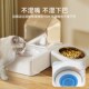猫咪饮水器宠物饮水机自动喂水器猫喝水不湿嘴狗狗喂食喂水一体机