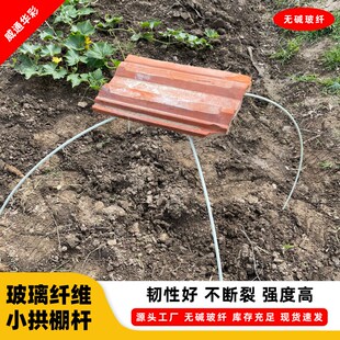 20根拱棚玻纤杆大小支架菜棚保温棚花棚帐篷农用拱竿骨架实心