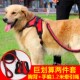 锚链牵引绳式 狗神泰迪狗狗绳子狗大型犬粗防暴冲狗莲子小狗剩专用