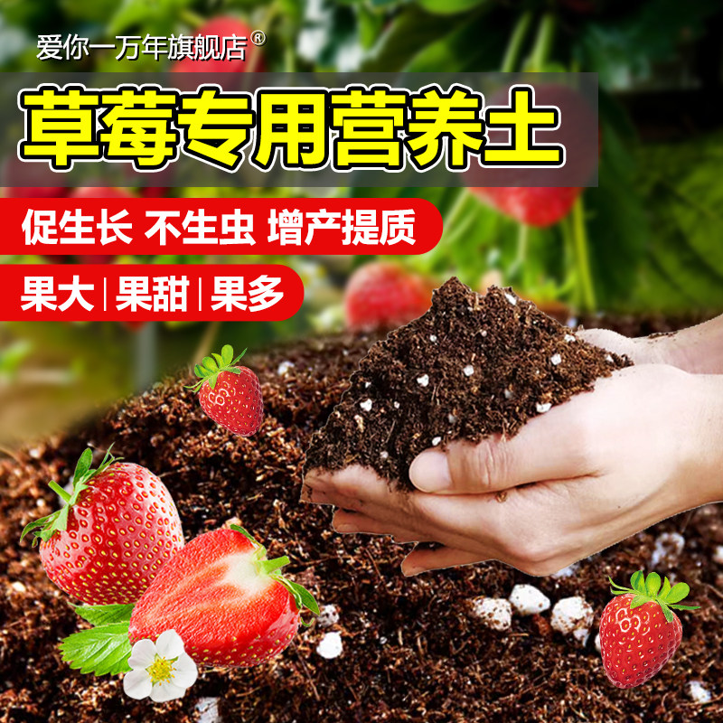 种草莓专用土营养土阳台草莓肥料专用肥盆栽草莓苗土壤泥土种植土,鲜花速递/花卉仿真/绿植园艺,家庭园艺肥料,淘宝优惠券,粉丝福利购,淘宝优惠卷