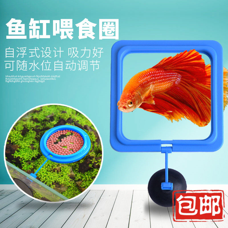 包邮鱼缸组合漂浮喂食圈鱼粮悬浮式养浮萍斗鱼迷鳃鱼繁殖做泡巢