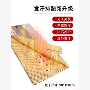 扶元汗蒸家用排酸毯沙棘排毒汗蒸袋全身排湿排寒电动按摩机蒸桑拿