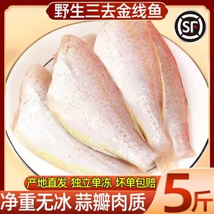 三去金线鱼速冻金线鱼新鲜海鱼批发商用无冰金线鱼红杉鱼整箱顺丰