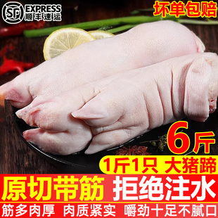 新鲜现杀猪蹄6只整只前蹄散养带筋农家猪脚猪手带筋散养猪手顺丰