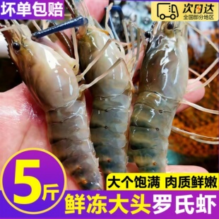 超大号罗氏虾鲜活大头虾罗氏虾鲜活海鲜大虾速冻水产整箱顺丰批发