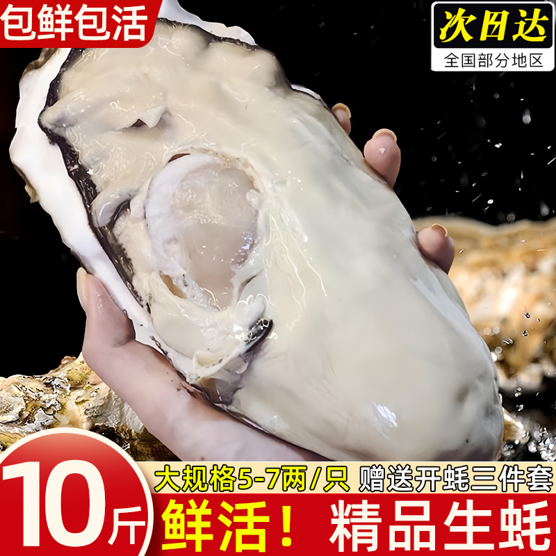 生蚝鲜活大号超肥海蛎子