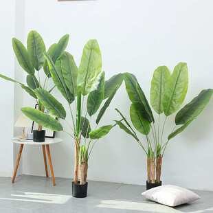 仿真芭蕉叶假树  工程家居客厅装饰绿植 户外园林摆放布景