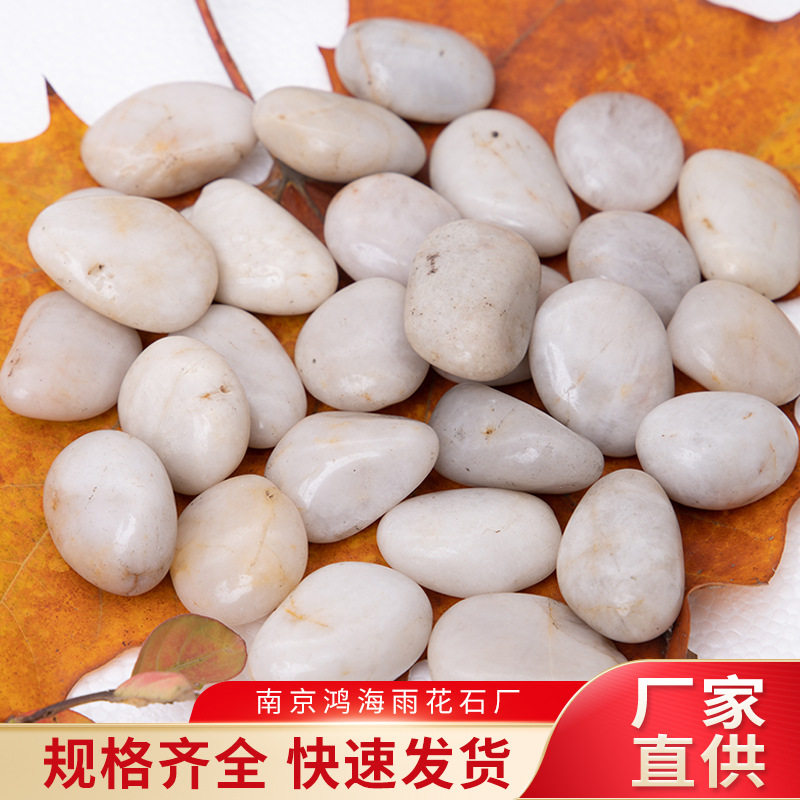 白色精抛鹅卵石白色水洗石胶粘石透水露骨料日式枯山水用白砺石