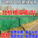 加厚绿化布彩条布防寒绿布防寒布绿植物防冻布塑料编织布防风 包邮