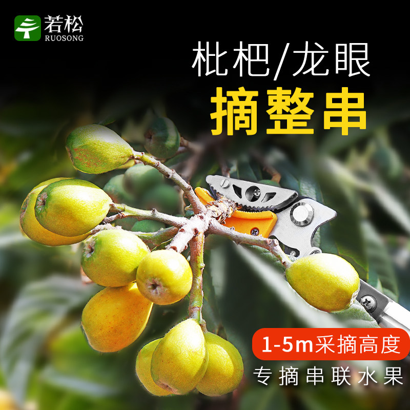 摘果器龙眼核桃水果n树枝剪刀伸缩高空剪加长摘果神器高枝剪摘果
