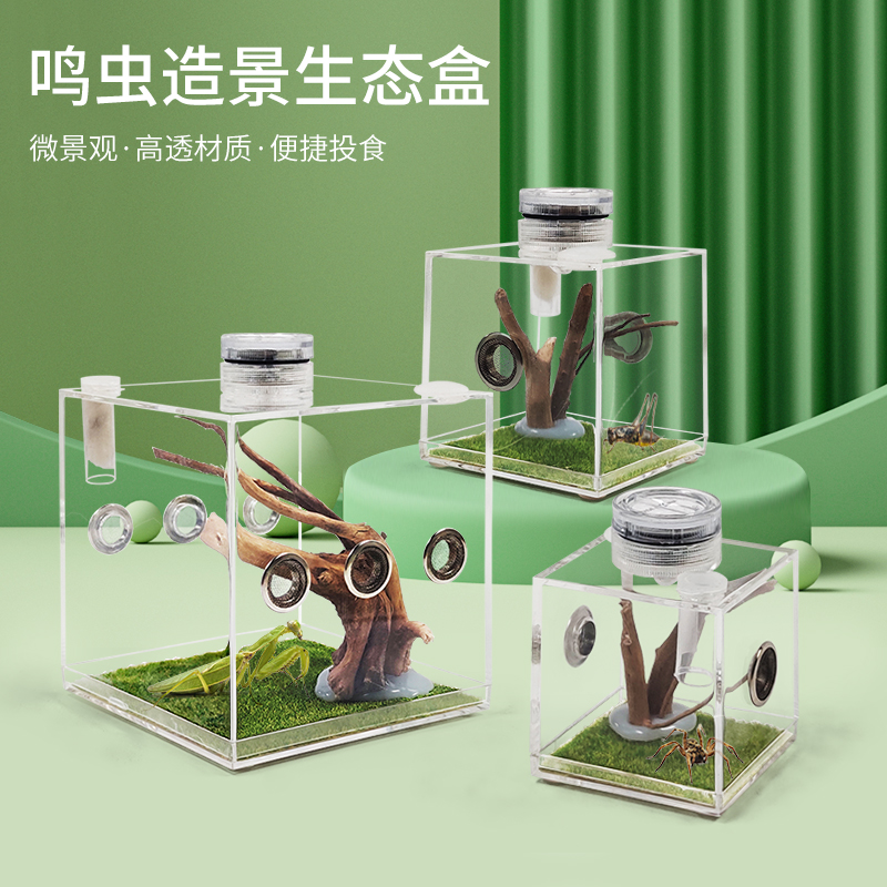 速发爬虫跳蛛饲养亚克力透用爬宠螳螂蜘虫蝈蝈昆蛛生态饲养盒小宠