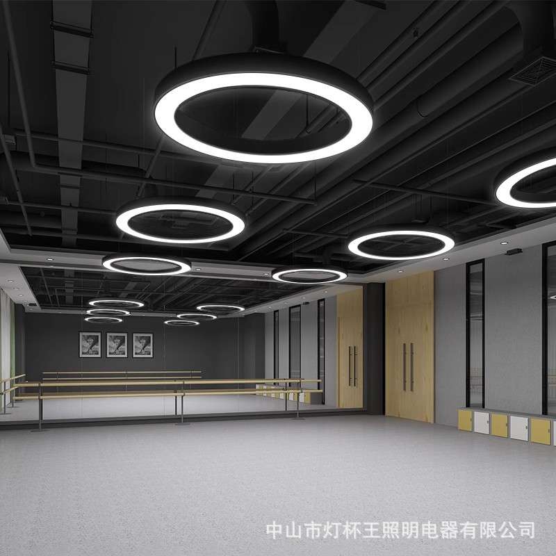 办公室led吊灯会议室现代简约实心圆形健身房店铺商用蓝天白云灯