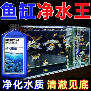 硝化细菌鱼缸专用养鱼消化杀菌净化水质鱼非药稳定剂净水剂硝化菌
