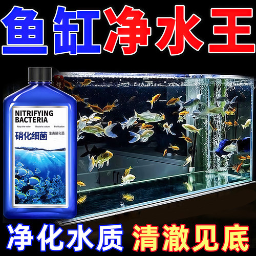 硝化细菌鱼缸专用养鱼活菌净水剂
