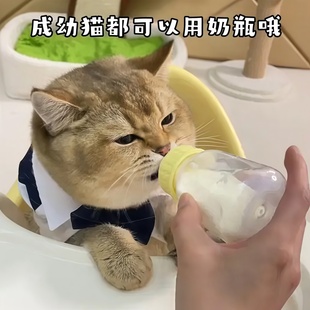 小猫奶瓶猫咪奶瓶宠物专用奶瓶奶嘴猫咪喂奶喂水1到3个月小狗用品
