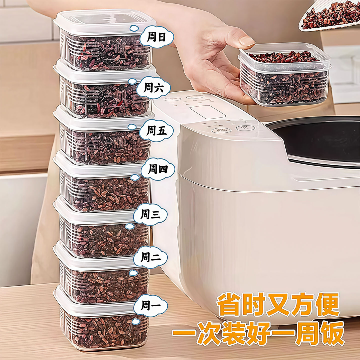 冰箱冷冻微波分装饭盒