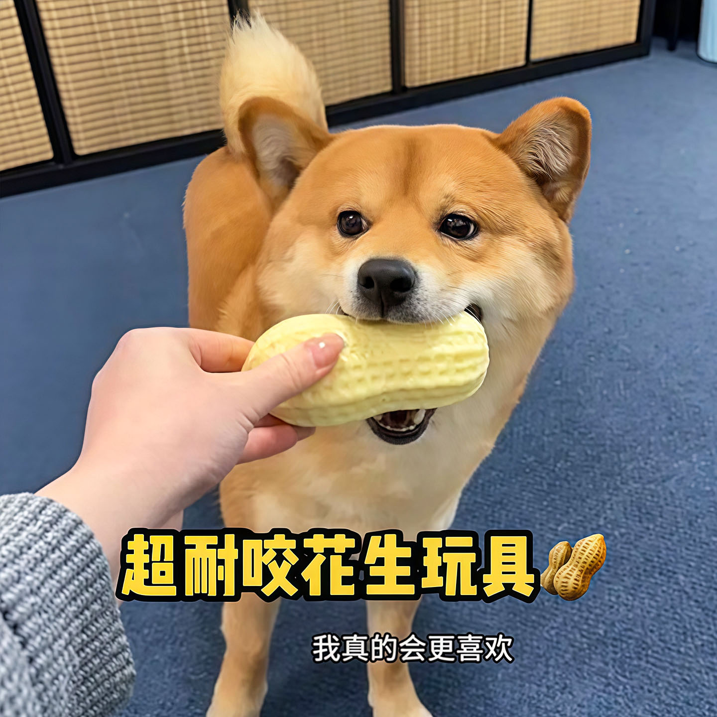 狗狗玩具耐咬自嗨解闷花生发声球柯基柴犬大小型犬宠物磨牙棒用品