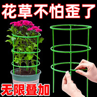 花架子室内支架园艺盆栽支撑杆架