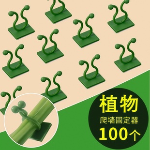 绿萝爬墙固定器绿植攀爬绿植爬墙神器夹子墙上无痕挂钩粘爬藤杆子
