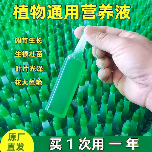 植物再生剂复活液多肉生长营养液