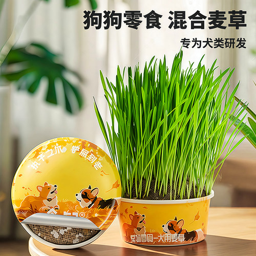 犬用麦草狗狗用零食助消化化毛