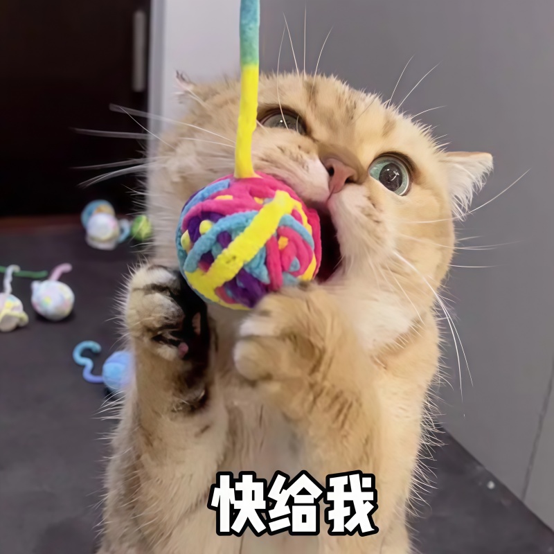 猫玩具毛线彩虹球球带尾巴逗猫宠物玩具毛线团内含响珠发声球铃铛