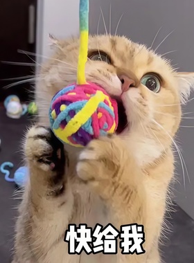 猫玩具毛线彩虹球球带尾巴逗猫宠物玩具毛线团内含响珠发声球铃铛