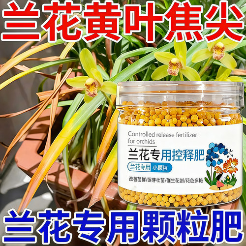 兰花专用控释颗粒肥促芽壮苗