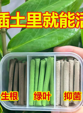 三色植物营养棒缓释棒盆栽花卉多肉通用型缓释营养棒养花肥急救棒