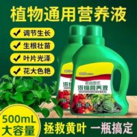植物营养液通用型家用养花肥料