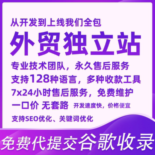外贸独立站定制开发跨境电商网站建设企业询盘网站装修品牌出海