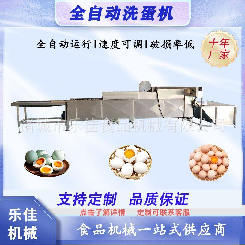 全自动土鸡蛋清洗机无菌蛋清洗烘干杀菌光检一体机双排洗蛋机