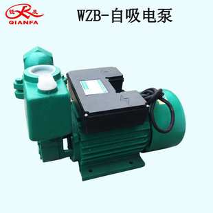 WZB井水家用自来水抽水增压灌溉家用高压自吸增压泵 厂家