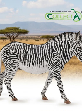 【88773细纹斑马】CollectA官方授权正版动物模型早教玩具